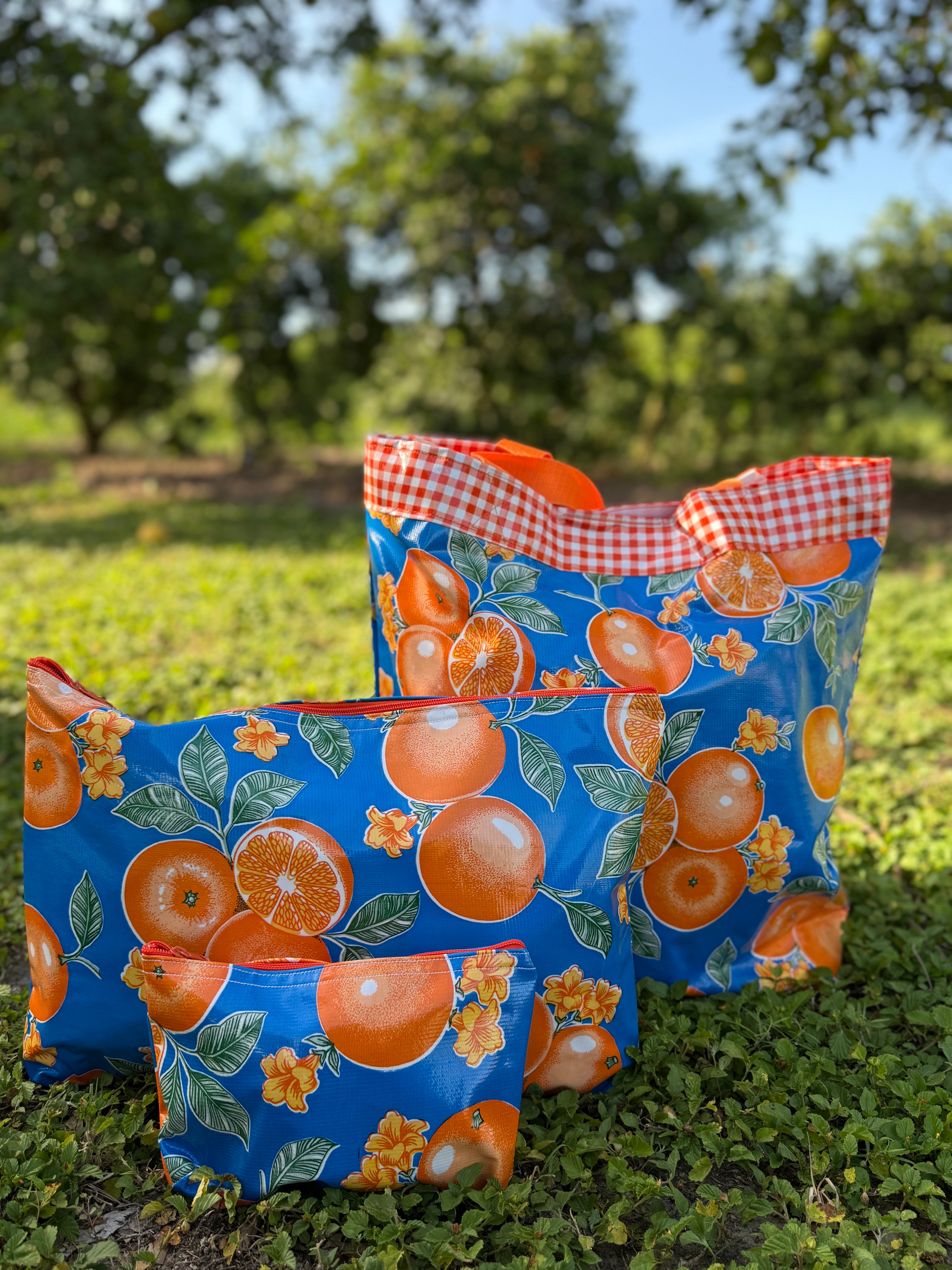 El Rancho Collection - Blue Bags – Chasing Camilla