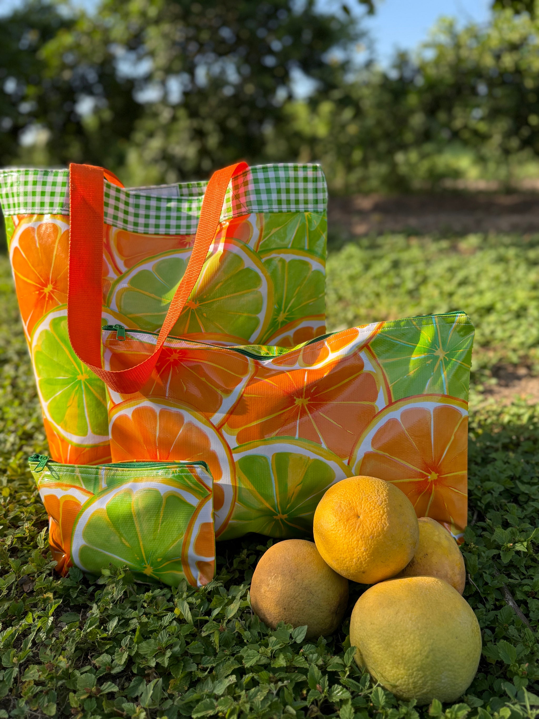 El Rancho Collection - Green Bags – Chasing Camilla
